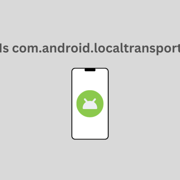 What Is com.android.localtransport App?